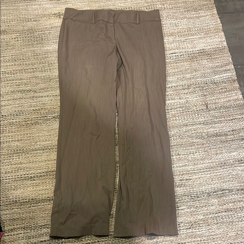 Women’s Loft Tan/Brown Pants
